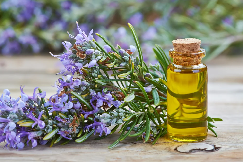 Rosemary Oil